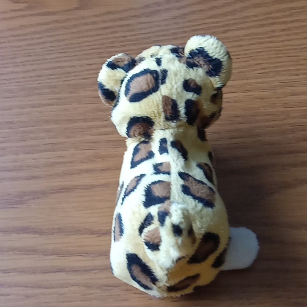 Cheetah - Picture 3 of 6